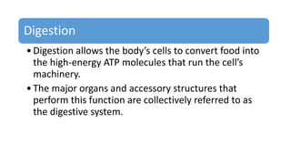 Digestion
•Digestion allows the body’s cells to convert food into
the high-energy ATP molecules that run the cell’s
machinery.
•The major organs and accessory structures that
perform this function are collectively referred to as
the digestive system.
 