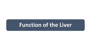 Function of the Liver
 