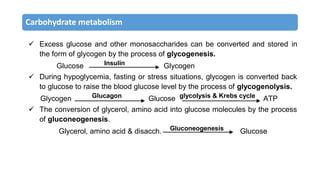 Carbohydrate metabolism
 Excess glucose and other monosaccharides can be converted and stored in
the form of glycogen by the process of glycogenesis.
Glucose Insulin Glycogen
 During hypoglycemia, fasting or stress situations, glycogen is converted back
to glucose to raise the blood glucose level by the process of glycogenolysis.
Glycogen Glucagon Glucose glycolysis & Krebs cycle ATP
 The conversion of glycerol, amino acid into glucose molecules by the process
of gluconeogenesis.
Glycerol, amino acid & disacch. Gluconeogenesis Glucose
 