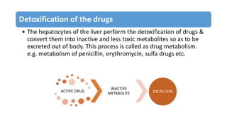 Detoxification of the drugs
• The hepatocytes of the liver perform the detoxification of drugs &
convert them into inactive and less toxic metabolites so as to be
excreted out of body. This process is called as drug metabolism.
e.g. metabolism of penicillin, erythromycin, sulfa drugs etc.
ACTIVE DRUG
INACTIVE
METABOLITE EXCRETION
 