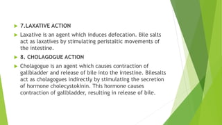 DIGESTIVE SYSTEM.pptx