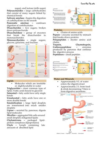 sugar), and lactose (milk sugar)
Polysaccharides – large carbohydrates
that consist of many sugars linked by
chemical bonds
Salivary amylase – begins the digestion
of carbohydrates in the mouth
Pancreatic amylase – continues
digestion of carbohydrates
Disaccharides – two sugars; broken
down polysaccharide
Disaccharidase – group of enzymes
that break the disaccharides to
monosaccharides
Monosaccharides – single sugars;
glucose, galactose, and fructose
Lipids
▪ Molecules which are insoluble
or slightlysoluble in water
Triglycerides – most common type of
lipid; 3 fatty acids bound to glycerol
Saturated – fatty acids have only single
bonds
Unsaturated – fatty acids have one or
more double bonds
Emulsification – large lipid droplets
are transformed into much smaller
droplets
Lipase – secreted by pancreas; digests
lipid molecules
Micelles – aggregated bile salts around
small droplets ofdigested lipids
Chylomicrons – packaged lipid-
protein complexes (lipoproteins)
Chyle – lymph containing late
amounts of absorbed lipid
Proteins
▪ Chains of amino acids
Pepsin – enzyme secreted by stomach
that breaks down proteins
Polypeptides – shorter amino acid
chains
Trypsin, Chymotrypsin,
Carboxypeptidase – enzymes
produced by pancreas that continue
the digestive process
Peptidases – small peptides
Water and Minerals
▪ Approximately 9 L of water
enters the digestivetract
▪ Approximately 2 L from food
& drink &remaining 7 liters is
from digestive secretions
Owned By: Pdf_sells
 