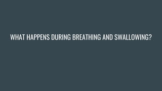 WHAT HAPPENS DURING BREATHING AND SWALLOWING?
 