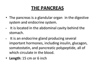 THE PANCREAS
• The pancreas is a glandular organ in the digestive
system and endocrine system.
• It is located in the abdominal cavity behind the
stomach.
• It is an endocrine gland producing several
important hormones, including insulin, glucagon,
somatostatin, and pancreatic polypeptide, all of
which circulate in the blood.
• Length: 15 cm or 6 inch
 