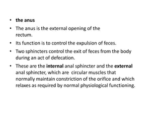 • the anus
• The anus is the external opening of the
rectum.
• Its function is to control the expulsion of feces.
• Two sphincters control the exit of feces from the body
during an act of defecation.
• These are the internal anal sphincter and the external
anal sphincter, which are circular muscles that
normally maintain constriction of the orifice and which
relaxes as required by normal physiological functioning.
 
