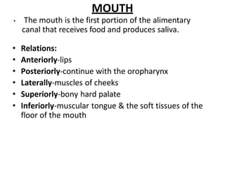 MOUTH
• The mouth is the first portion of the alimentary
canal that receives food and produces saliva.
• Relations:
• Anteriorly-lips
• Posteriorly-continue with the oropharynx
• Laterally-muscles of cheeks
• Superiorly-bony hard palate
• Inferiorly-muscular tongue & the soft tissues of the
floor of the mouth
 