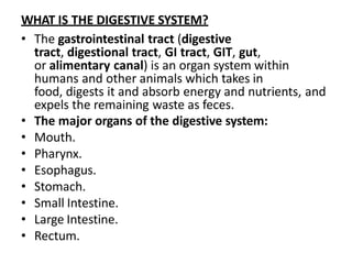 digestive system.pptx