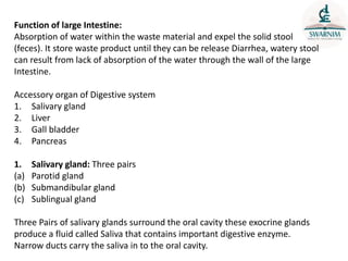 Function of large Intestine:
Absorption of water within the waste material and expel the solid stool
(feces). It store waste product until they can be release Diarrhea, watery stool
can result from lack of absorption of the water through the wall of the large
Intestine.
Accessory organ of Digestive system
1. Salivary gland
2. Liver
3. Gall bladder
4. Pancreas
1. Salivary gland: Three pairs
(a) Parotid gland
(b) Submandibular gland
(c) Sublingual gland
Three Pairs of salivary glands surround the oral cavity these exocrine glands
produce a fluid called Saliva that contains important digestive enzyme.
Narrow ducts carry the saliva in to the oral cavity.
 