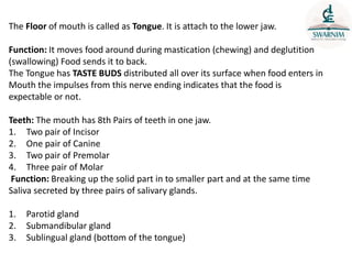The Floor of mouth is called as Tongue. It is attach to the lower jaw.
Function: It moves food around during mastication (chewing) and deglutition
(swallowing) Food sends it to back.
The Tongue has TASTE BUDS distributed all over its surface when food enters in
Mouth the impulses from this nerve ending indicates that the food is
expectable or not.
Teeth: The mouth has 8th Pairs of teeth in one jaw.
1. Two pair of Incisor
2. One pair of Canine
3. Two pair of Premolar
4. Three pair of Molar
Function: Breaking up the solid part in to smaller part and at the same time
Saliva secreted by three pairs of salivary glands.
1. Parotid gland
2. Submandibular gland
3. Sublingual gland (bottom of the tongue)
 