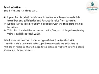 Small Intestine:
Small intestine has three parts
 Upper Part is called duodenum it receive food from stomach, bile
from liver and gallbladder and Pancreatic juice from pancreas.
 Middle Part is called Jejunum is chimicet with the third part of small
Intestine.
 Third Part is called Ileum connects with first part of large intestine by
valve is called Ileocecal Valve.
Small Intestine lined with special type of structure is called Villi.
The Villi is very tiny and microscopic blood vessels like structure is
millions in number. The Villi absorb the digested nutrient in to the blood
stream and lymph vessels.
 