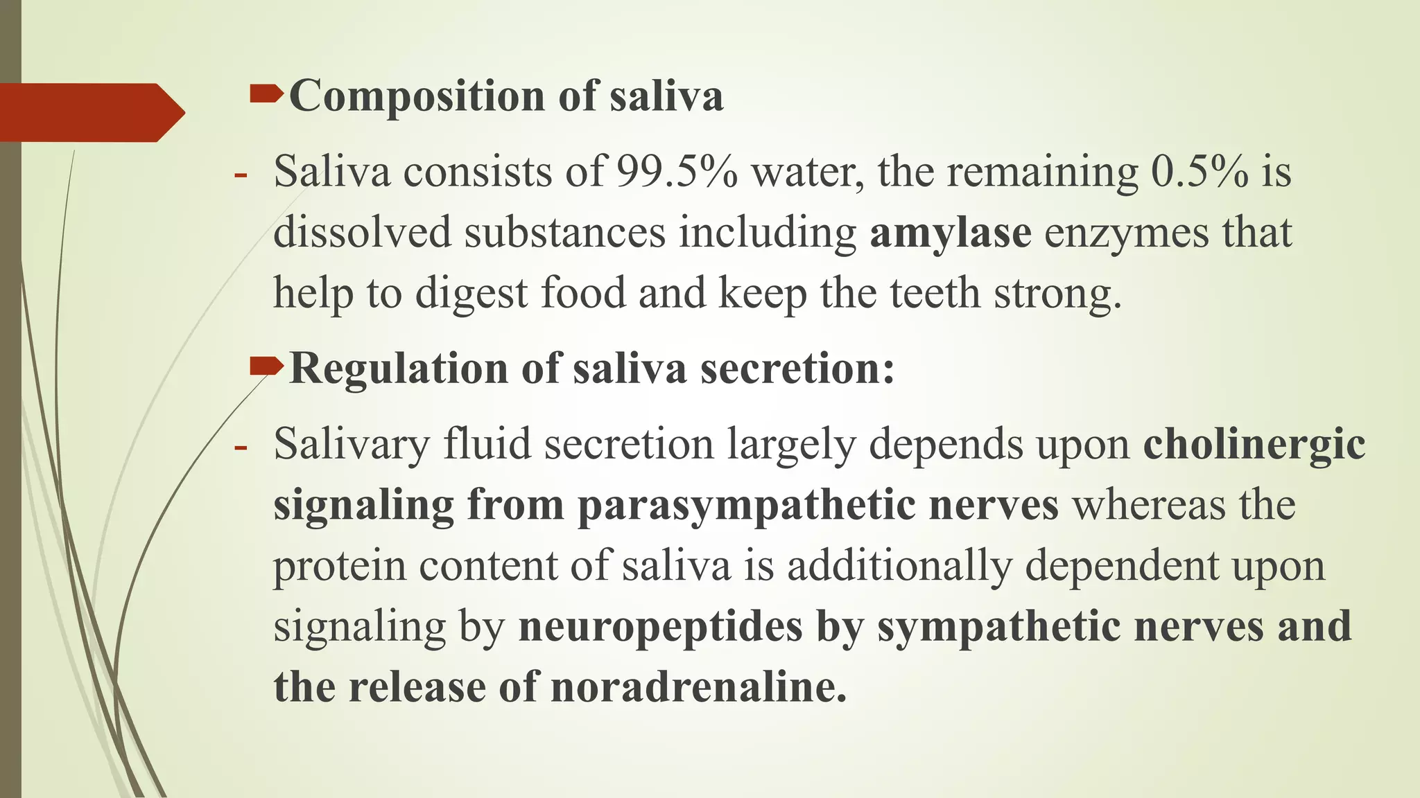 Composition of saliva
- Saliva consists of 99.5% water, the remaining 0.5% is
dissolved substances including amylase enzymes that
help to digest food and keep the teeth strong.
Regulation of saliva secretion:
- Salivary fluid secretion largely depends upon cholinergic
signaling from parasympathetic nerves whereas the
protein content of saliva is additionally dependent upon
signaling by neuropeptides by sympathetic nerves and
the release of noradrenaline.
 