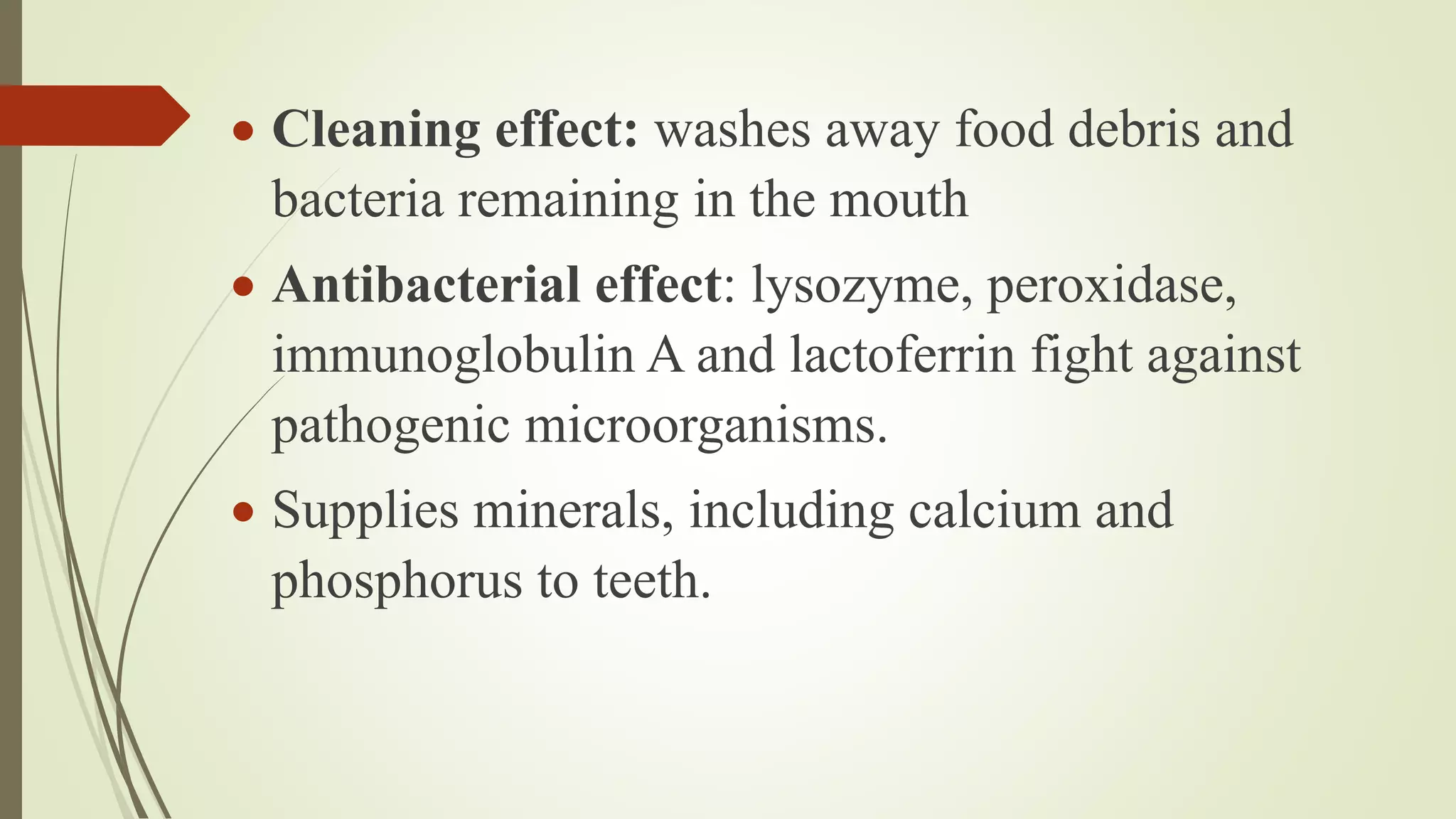  Cleaning effect: washes away food debris and
bacteria remaining in the mouth
 Antibacterial effect: lysozyme, peroxidase,
immunoglobulin A and lactoferrin fight against
pathogenic microorganisms.
 Supplies minerals, including calcium and
phosphorus to teeth.
 