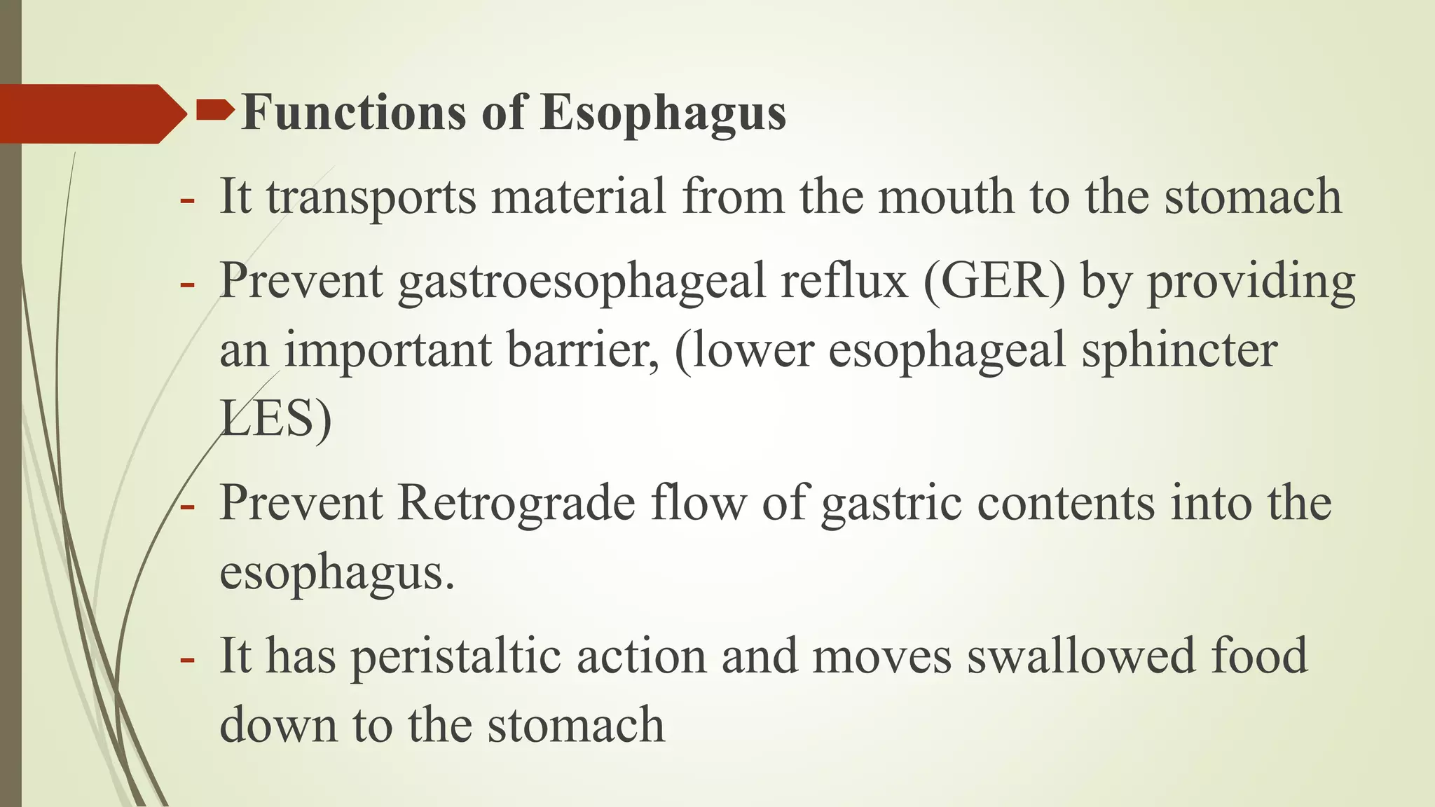 Functions of Esophagus
- It transports material from the mouth to the stomach
- Prevent gastroesophageal reflux (GER) by providing
an important barrier, (lower esophageal sphincter
LES)
- Prevent Retrograde flow of gastric contents into the
esophagus.
- It has peristaltic action and moves swallowed food
down to the stomach
 