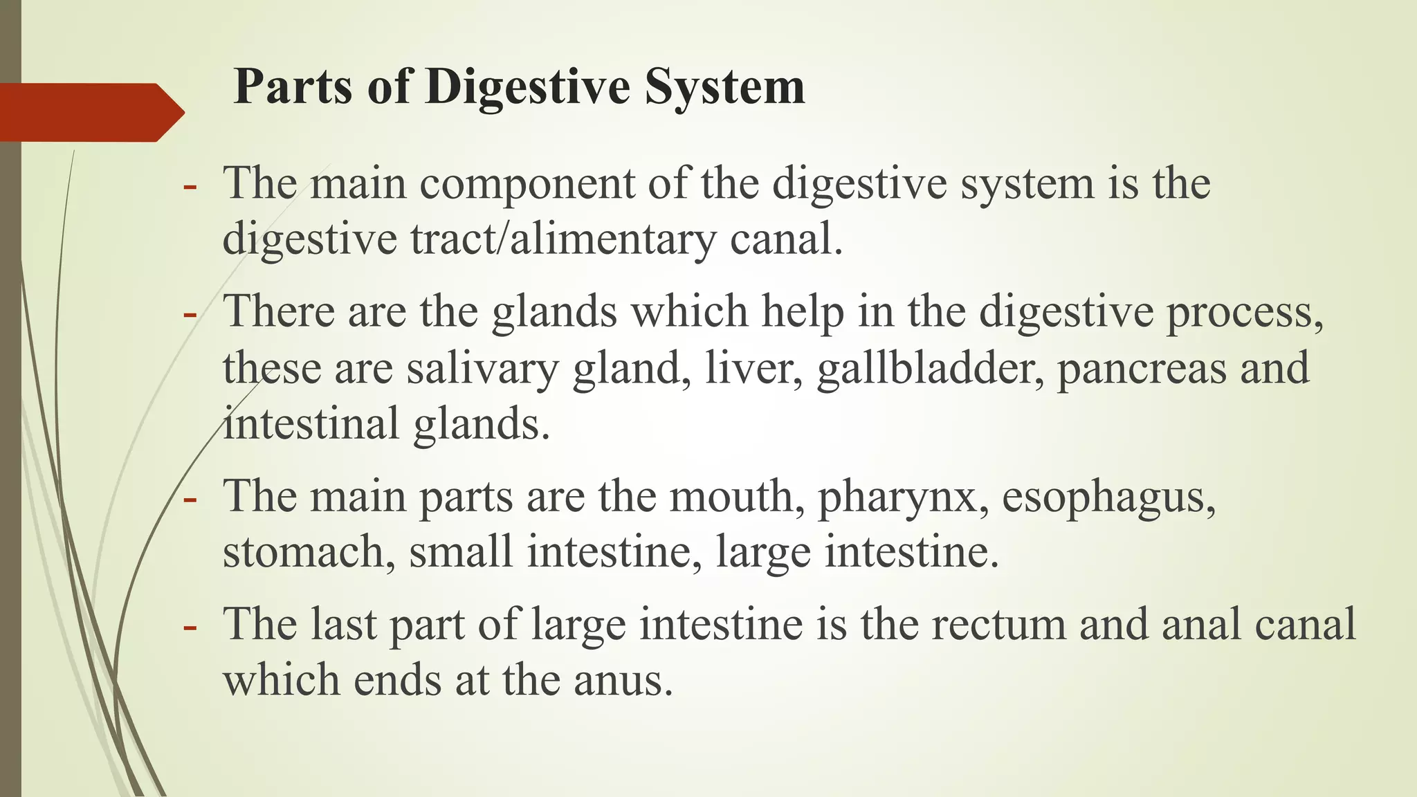 Parts of Digestive System
- The main component of the digestive system is the
digestive tract/alimentary canal.
- There are the glands which help in the digestive process,
these are salivary gland, liver, gallbladder, pancreas and
intestinal glands.
- The main parts are the mouth, pharynx, esophagus,
stomach, small intestine, large intestine.
- The last part of large intestine is the rectum and anal canal
which ends at the anus.
 