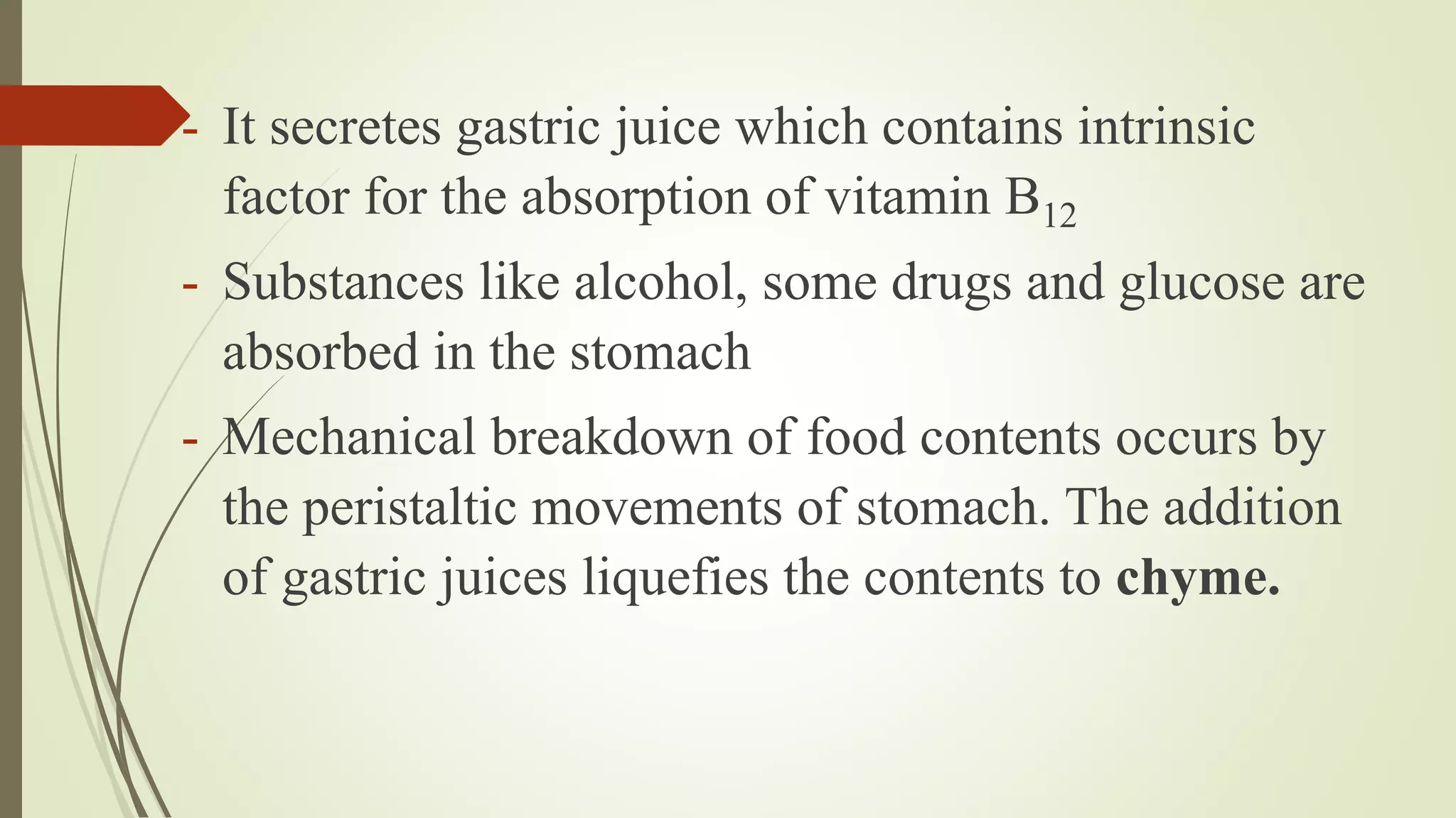 - It secretes gastric juice which contains intrinsic
factor for the absorption of vitamin B12
- Substances like alcohol, some drugs and glucose are
absorbed in the stomach
- Mechanical breakdown of food contents occurs by
the peristaltic movements of stomach. The addition
of gastric juices liquefies the contents to chyme.
 