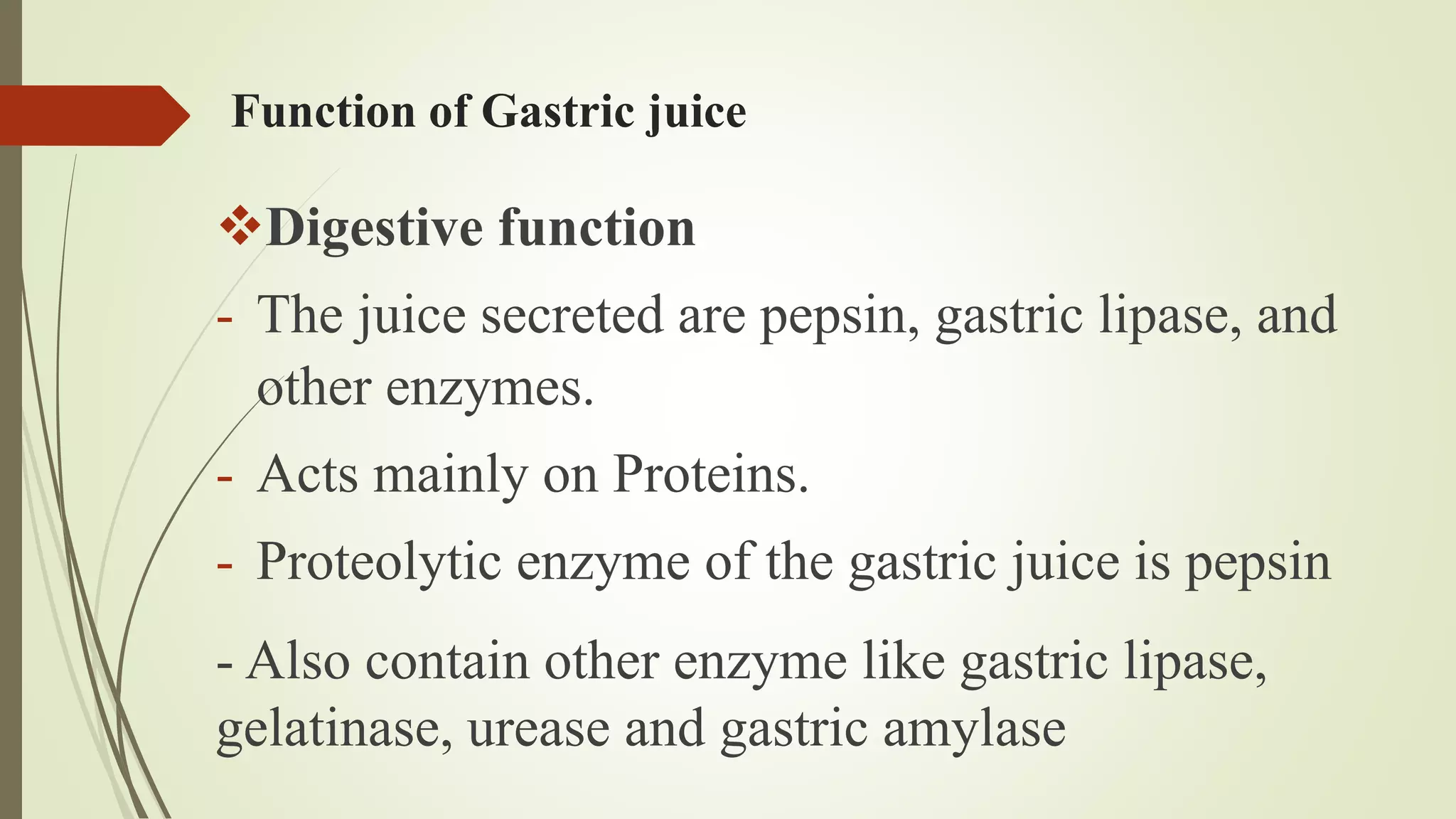 Function of Gastric juice
Digestive function
- The juice secreted are pepsin, gastric lipase, and
other enzymes.
- Acts mainly on Proteins.
- Proteolytic enzyme of the gastric juice is pepsin
- Also contain other enzyme like gastric lipase,
gelatinase, urease and gastric amylase
 