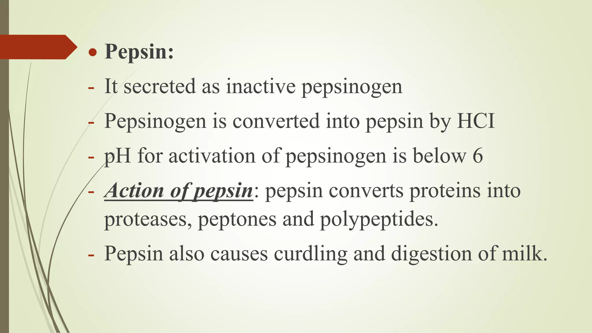  Pepsin:
- It secreted as inactive pepsinogen
- Pepsinogen is converted into pepsin by HCI
- pH for activation of pepsinogen is below 6
- Action of pepsin: pepsin converts proteins into
proteases, peptones and polypeptides.
- Pepsin also causes curdling and digestion of milk.
 