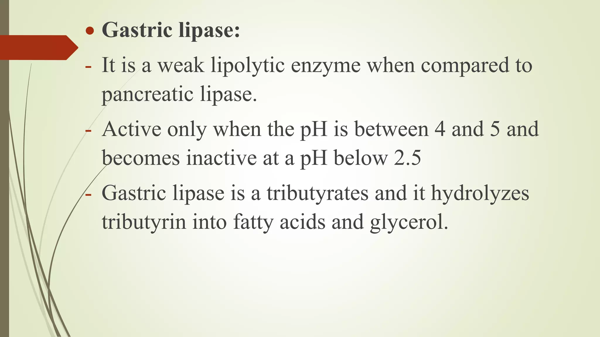  Gastric lipase:
- It is a weak lipolytic enzyme when compared to
pancreatic lipase.
- Active only when the pH is between 4 and 5 and
becomes inactive at a pH below 2.5
- Gastric lipase is a tributyrates and it hydrolyzes
tributyrin into fatty acids and glycerol.
 