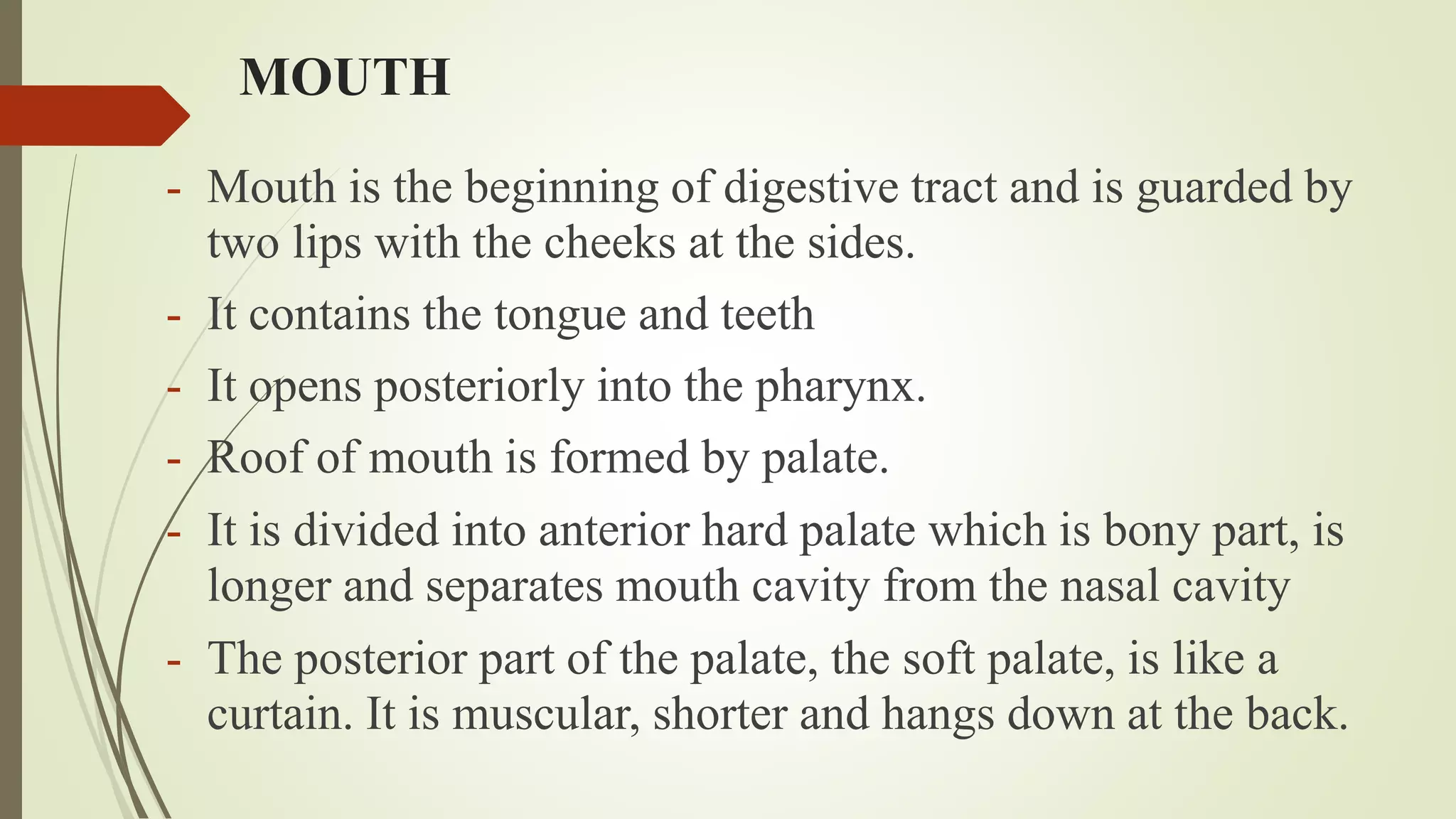 MOUTH
- Mouth is the beginning of digestive tract and is guarded by
two lips with the cheeks at the sides.
- It contains the tongue and teeth
- It opens posteriorly into the pharynx.
- Roof of mouth is formed by palate.
- It is divided into anterior hard palate which is bony part, is
longer and separates mouth cavity from the nasal cavity
- The posterior part of the palate, the soft palate, is like a
curtain. It is muscular, shorter and hangs down at the back.
 