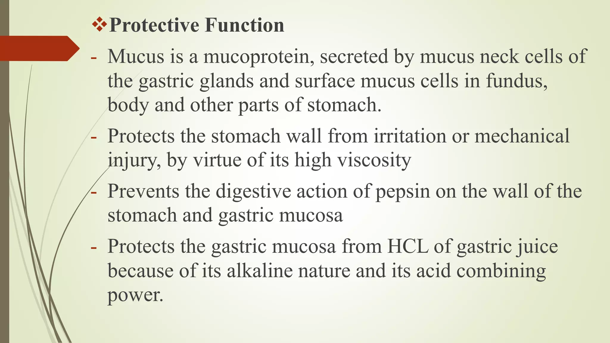 Protective Function
- Mucus is a mucoprotein, secreted by mucus neck cells of
the gastric glands and surface mucus cells in fundus,
body and other parts of stomach.
- Protects the stomach wall from irritation or mechanical
injury, by virtue of its high viscosity
- Prevents the digestive action of pepsin on the wall of the
stomach and gastric mucosa
- Protects the gastric mucosa from HCL of gastric juice
because of its alkaline nature and its acid combining
power.
 