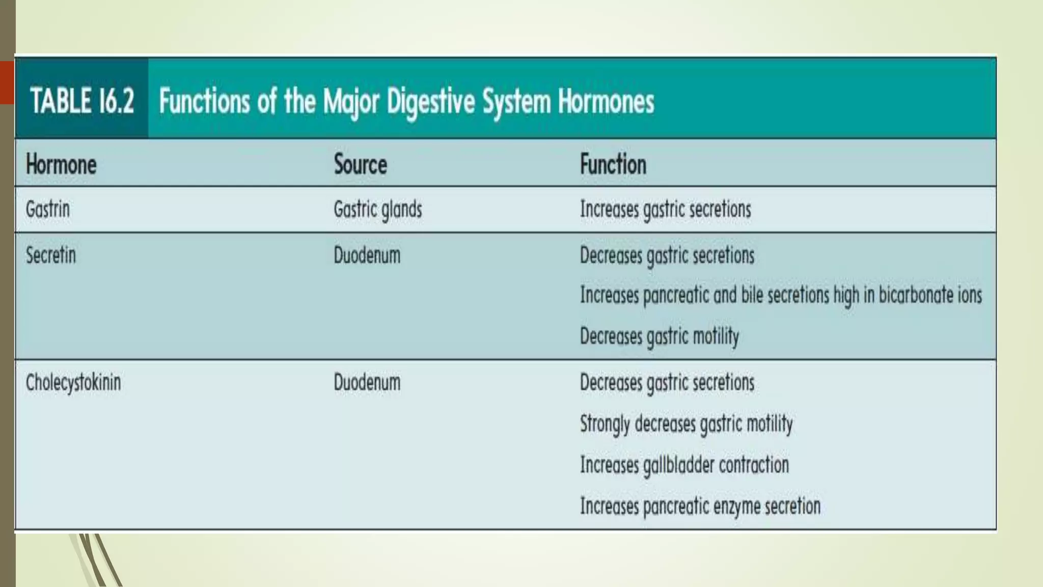 Digestive system.pptx