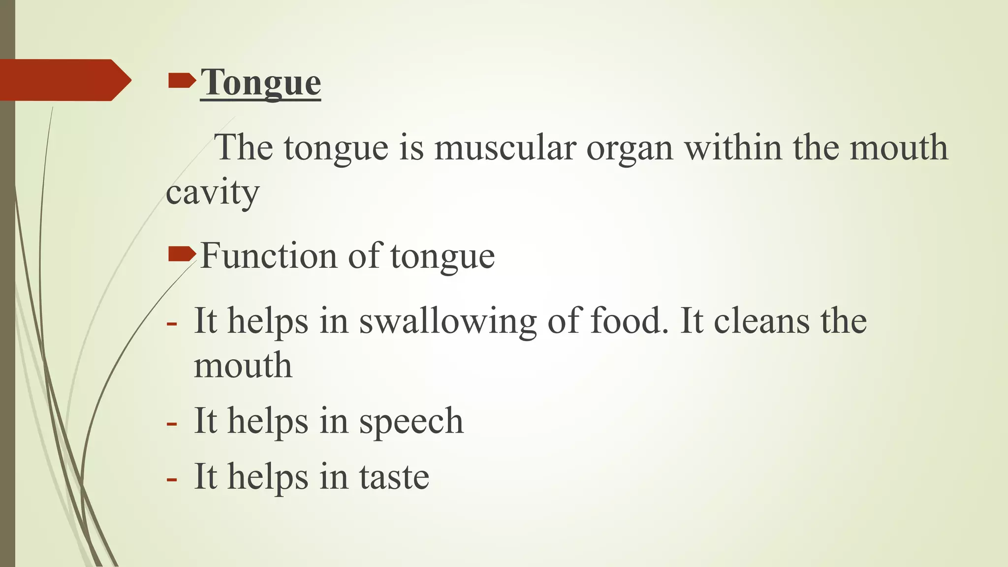 Tongue
The tongue is muscular organ within the mouth
cavity
Function of tongue
- It helps in swallowing of food. It cleans the
mouth
- It helps in speech
- It helps in taste
 