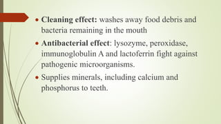  Cleaning effect: washes away food debris and
bacteria remaining in the mouth
 Antibacterial effect: lysozyme, peroxidase,
immunoglobulin A and lactoferrin fight against
pathogenic microorganisms.
 Supplies minerals, including calcium and
phosphorus to teeth.
 