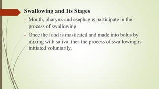Swallowing and Its Stages
- Mouth, pharynx and esophagus participate in the
process of swallowing
- Once the food is masticated and made into bolus by
mixing with saliva, then the process of swallowing is
initiated voluntarily.
 