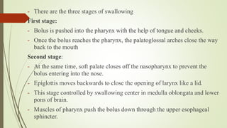 - There are the three stages of swallowing
First stage:
- Bolus is pushed into the pharynx with the help of tongue and cheeks.
- Once the bolus reaches the pharynx, the palatoglossal arches close the way
back to the mouth
Second stage:
- At the same time, soft palate closes off the nasopharynx to prevent the
bolus entering into the nose.
- Epiglottis moves backwards to close the opening of larynx like a lid.
- This stage controlled by swallowing center in medulla oblongata and lower
pons of brain.
- Muscles of pharynx push the bolus down through the upper esophageal
sphincter.
 