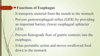 Functions of Esophagus
- It transports material from the mouth to the stomach
- Prevent gastroesophageal reflux (GER) by providing
an important barrier, (lower esophageal sphincter
LES)
- Prevent Retrograde flow of gastric contents into the
esophagus.
- It has peristaltic action and moves swallowed food
down to the stomach
 