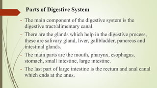 Parts of Digestive System
- The main component of the digestive system is the
digestive tract/alimentary canal.
- There are the glands which help in the digestive process,
these are salivary gland, liver, gallbladder, pancreas and
intestinal glands.
- The main parts are the mouth, pharynx, esophagus,
stomach, small intestine, large intestine.
- The last part of large intestine is the rectum and anal canal
which ends at the anus.
 