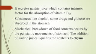 - It secretes gastric juice which contains intrinsic
factor for the absorption of vitamin B12
- Substances like alcohol, some drugs and glucose are
absorbed in the stomach
- Mechanical breakdown of food contents occurs by
the peristaltic movements of stomach. The addition
of gastric juices liquefies the contents to chyme.
 
