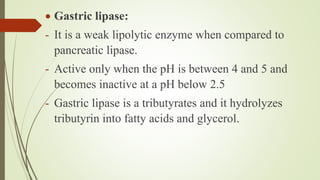  Gastric lipase:
- It is a weak lipolytic enzyme when compared to
pancreatic lipase.
- Active only when the pH is between 4 and 5 and
becomes inactive at a pH below 2.5
- Gastric lipase is a tributyrates and it hydrolyzes
tributyrin into fatty acids and glycerol.
 