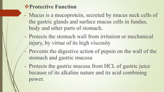 Protective Function
- Mucus is a mucoprotein, secreted by mucus neck cells of
the gastric glands and surface mucus cells in fundus,
body and other parts of stomach.
- Protects the stomach wall from irritation or mechanical
injury, by virtue of its high viscosity
- Prevents the digestive action of pepsin on the wall of the
stomach and gastric mucosa
- Protects the gastric mucosa from HCL of gastric juice
because of its alkaline nature and its acid combining
power.
 