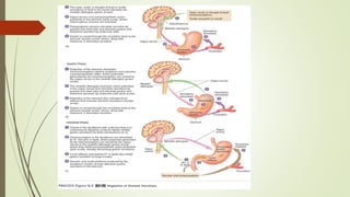 Digestive system.pptx