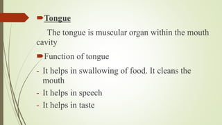 Tongue
The tongue is muscular organ within the mouth
cavity
Function of tongue
- It helps in swallowing of food. It cleans the
mouth
- It helps in speech
- It helps in taste
 