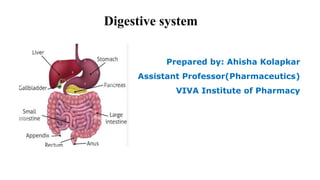 Digestive system
Prepared by: Ahisha Kolapkar
Assistant Professor(Pharmaceutics)
VIVA Institute of Pharmacy
 