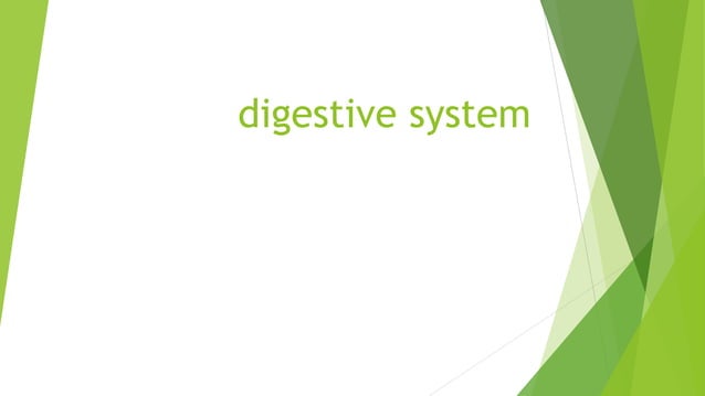 digestive system.pptx