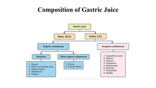 Composition of Gastric Juice
 