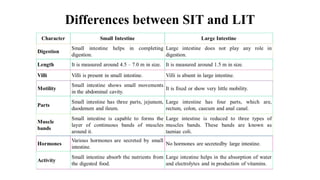 Differences between SIT and LIT
 