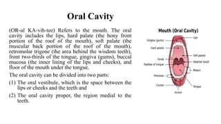 Oral Cavity
(OR-ul KA-vih-tee) Refers to the mouth. The oral
cavity includes the lips, hard palate (the bony front
portion of the roof of the mouth), soft palate (the
muscular back portion of the roof of the mouth),
retromolar trigone (the area behind the wisdom teeth),
front two-thirds of the tongue, gingiva (gums), buccal
mucosa (the inner lining of the lips and cheeks), and
floor of the mouth under the tongue.
The oral cavity can be divided into two parts:
(1) The oral vestibule, which is the space between the
lips or cheeks and the teeth and
(2) The oral cavity proper, the region medial to the
teeth.
 