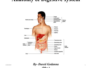 Anatomy of Digestive system
By- Dureti Godanna 1
1/9/2024
 