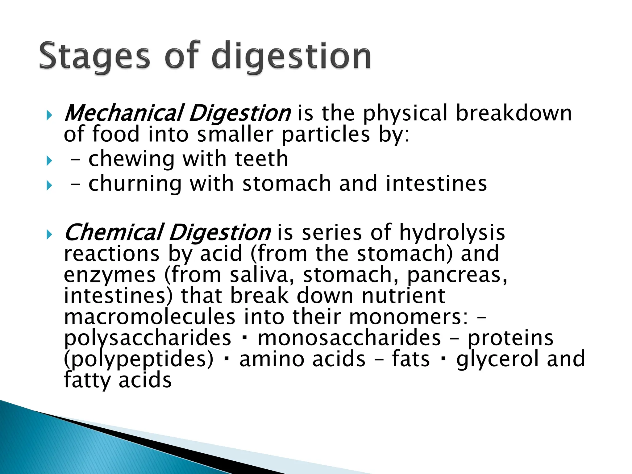  Mechanical Digestion is the physical breakdown
of food into smaller particles by:
 – chewing with teeth
 – churning with stomach and intestines
 Chemical Digestion is series of hydrolysis
reactions by acid (from the stomach) and
enzymes (from saliva, stomach, pancreas,
intestines) that break down nutrient
macromolecules into their monomers: –
polysaccharides monosaccharides – proteins
(polypeptides) amino acids – fats glycerol and
fatty acids
 