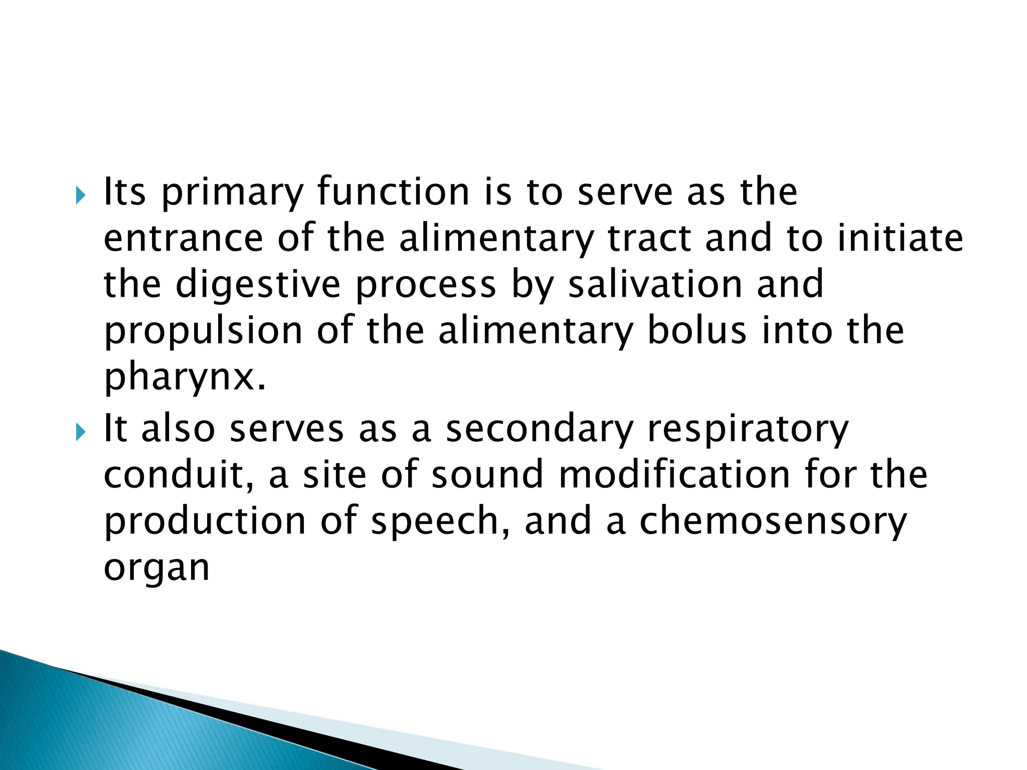  Its primary function is to serve as the
entrance of the alimentary tract and to initiate
the digestive process by salivation and
propulsion of the alimentary bolus into the
pharynx.
 It also serves as a secondary respiratory
conduit, a site of sound modification for the
production of speech, and a chemosensory
organ
 