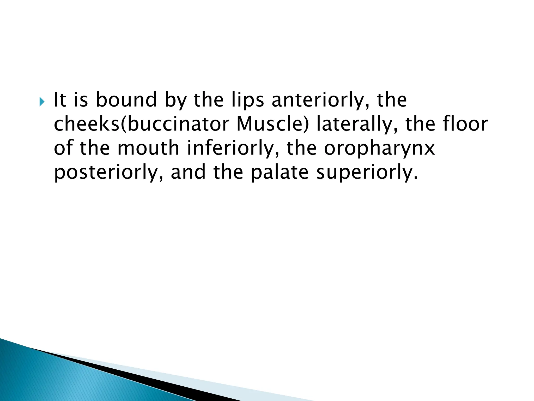  It is bound by the lips anteriorly, the
cheeks(buccinator Muscle) laterally, the floor
of the mouth inferiorly, the oropharynx
posteriorly, and the palate superiorly.
 