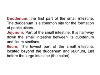 Duodenum: the first part of the small intestine.
The duodenum is a common site for the formation
of peptic ulcers.
Jejunum: Part of the small intestine. It is half-way
down the small intestine between its duodenum
and ileum sections.
Ileum: The lowest part of the small intestine,
located beyond the duodenum and jejunum, just
before the large intestine (the colon).
 