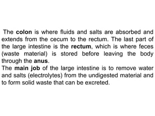 The colon is where fluids and salts are absorbed and
extends from the cecum to the rectum. The last part of
the large intestine is the rectum, which is where feces
(waste material) is stored before leaving the body
through the anus.
The main job of the large intestine is to remove water
and salts (electrolytes) from the undigested material and
to form solid waste that can be excreted.
 