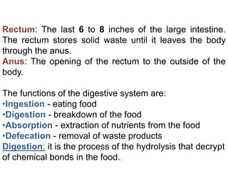 Rectum: The last 6 to 8 inches of the large intestine.
The rectum stores solid waste until it leaves the body
through the anus.
Anus: The opening of the rectum to the outside of the
body.
The functions of the digestive system are:
•Ingestion - eating food
•Digestion - breakdown of the food
•Absorption - extraction of nutrients from the food
•Defecation - removal of waste products
Digestion: it is the process of the hydrolysis that decrypt
of chemical bonds in the food..
 