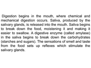 Digestion begins in the mouth, where chemical and
mechanical digestion occurs. Saliva, produced by the
salivary glands, is released into the mouth. Saliva begins
to break down the food, moistening it and making it
easier to swallow. A digestive enzyme (called amylase)
in the saliva begins to break down the carbohydrates
(starches and sugars). The sensations of smell and taste
from the food sets up reflexes which stimulate the
salivary glands.
 