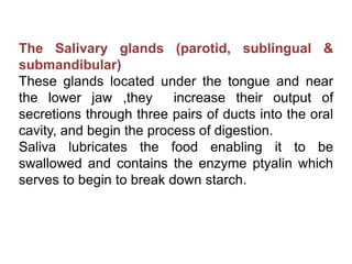 The Salivary glands (parotid, sublingual &
submandibular)
These glands located under the tongue and near
the lower jaw ,they increase their output of
secretions through three pairs of ducts into the oral
cavity, and begin the process of digestion.
Saliva lubricates the food enabling it to be
swallowed and contains the enzyme ptyalin which
serves to begin to break down starch.
 